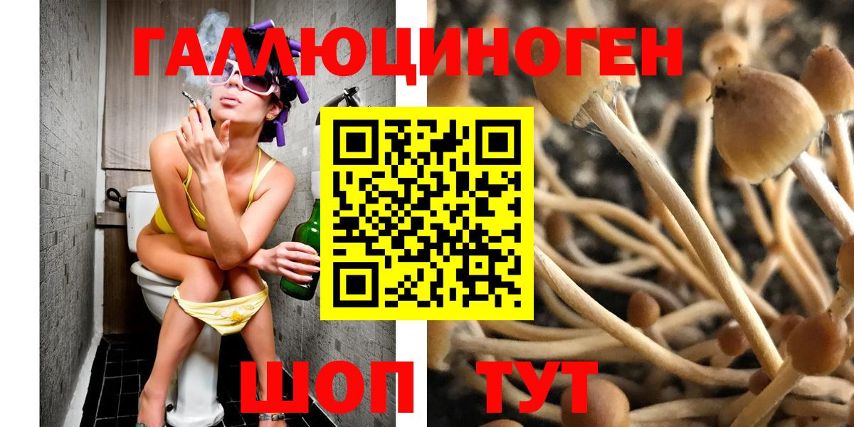 Галлюциногенные грибы MAGIC MUSHROOMS  Вход с VPN  Псилоцибиновые грибы Psilocybine cubensis  Людиново 